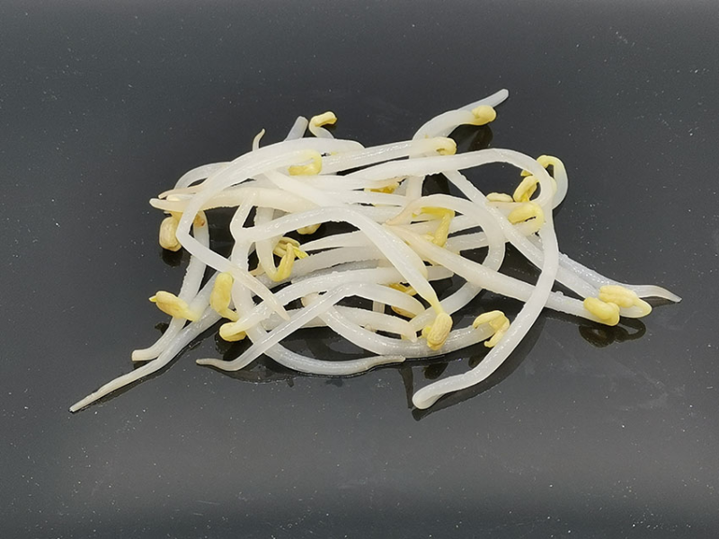 Bean Sprouts
