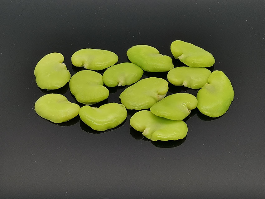 Broad Bean Halves Broad Bean Halves